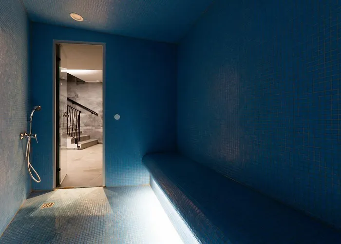 Cittar Novigrad Istria